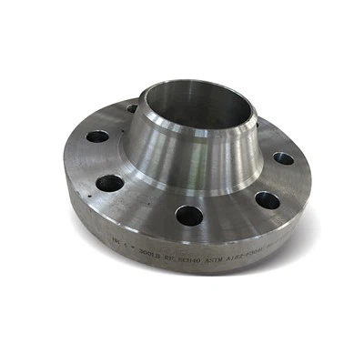 Hastelloy Lap Joint Flanes